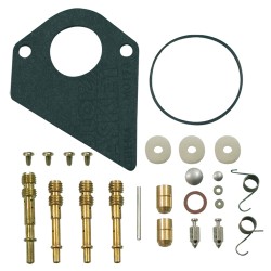 Kit réparation carburateur B&S 495799 - 497535 - 494880 - 494384