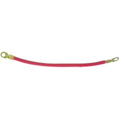 Cable rouge avec cosses (30  cm)