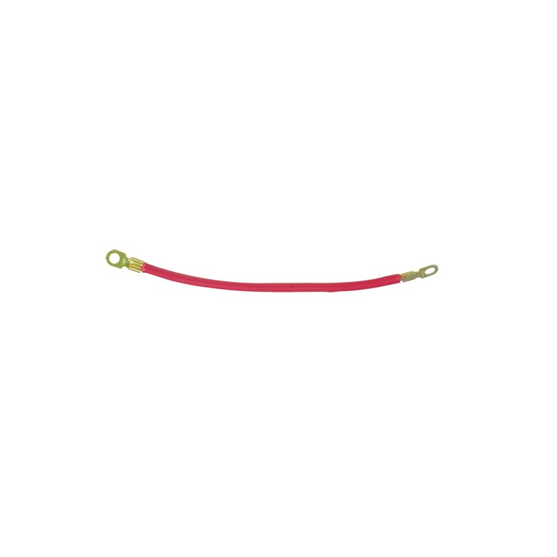 Cable rouge avec cosses (30  cm)