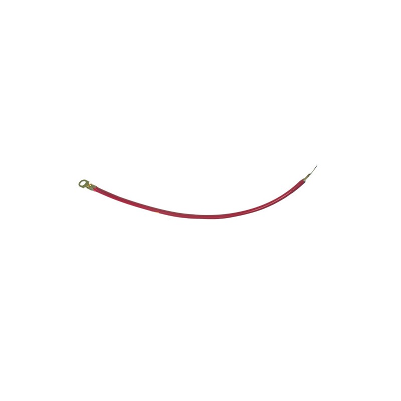 Cable rouge avec cosses (50  cm)