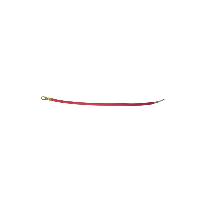 Cable rouge avec cosses (40  cm)